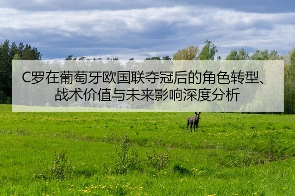 luo-zai-pu-tao-ya-ou-guo-lian-duo-guan-hou-de-jue-se-zhuan-xing-zhan-shu-jia-zhi-yu-wei-lai-ying-xiang-shen-du-fen-xi-2-560.jpg
